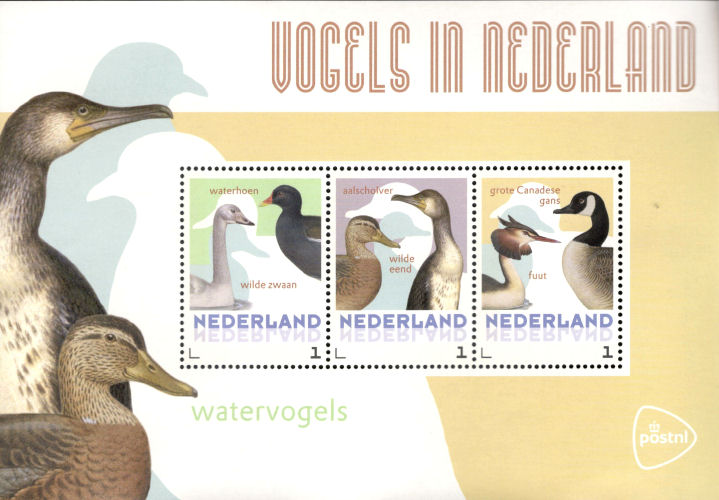 Verwonderlijk 2014: Vogels in Nederland – Watervogels – Kienhorst AE-26